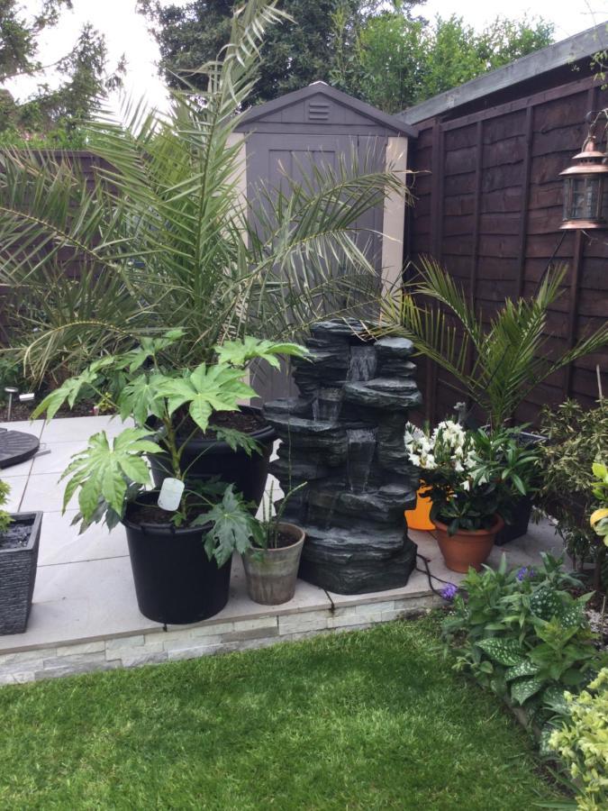 Rise & Shine Bed & Breakfast Titchfield Bagian luar foto